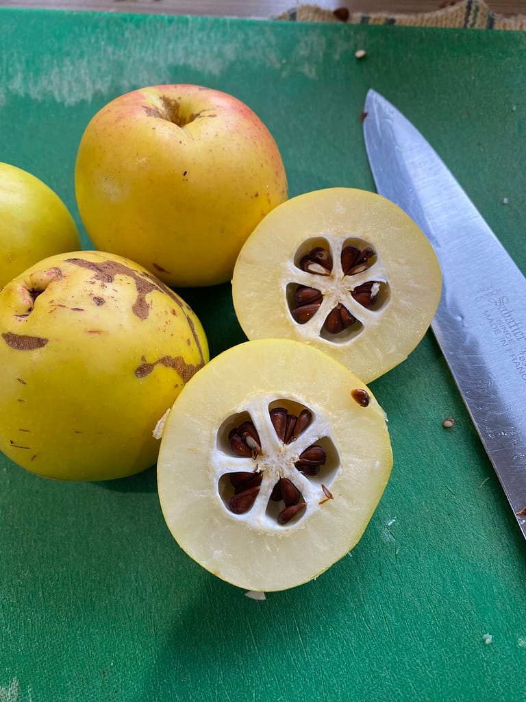 A quince is displayed cut in half on a chopping board showing its interesting core of five pips in a start pattern.
